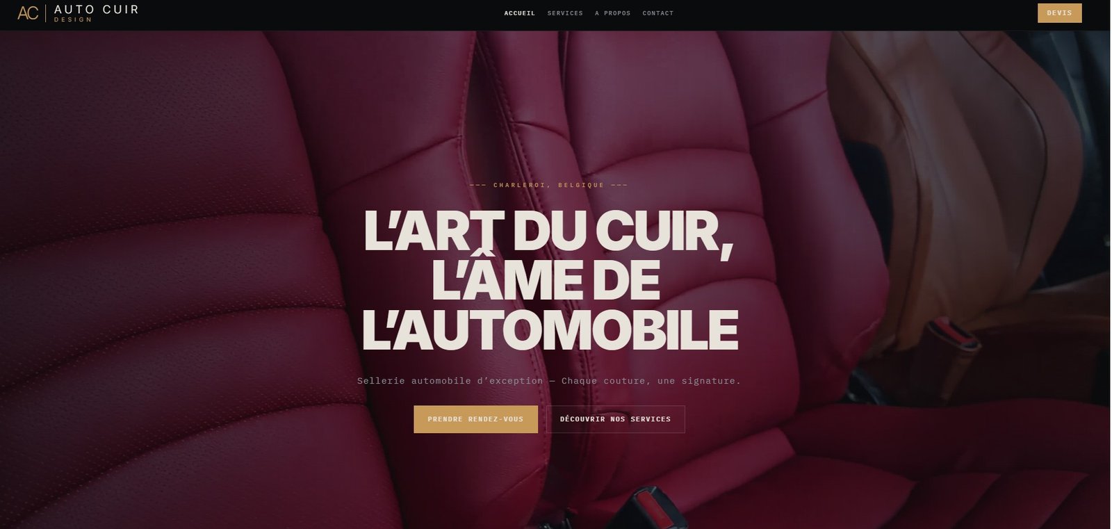 Aperçu Auto Cuir Design